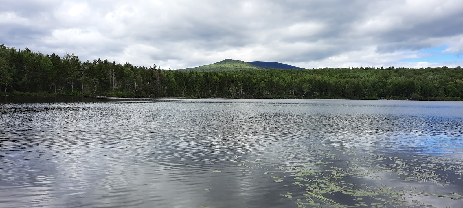 Grout Pond NF Campground