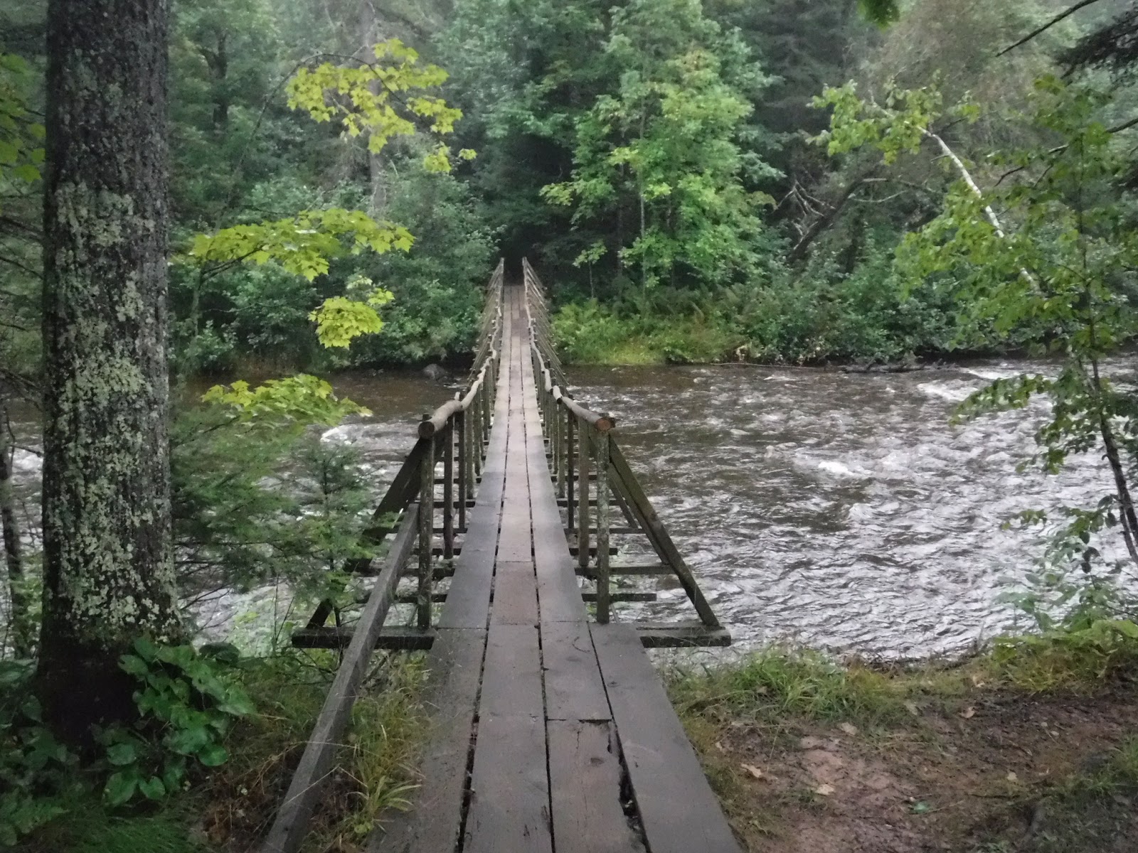 Bois Brule - Brule River SF