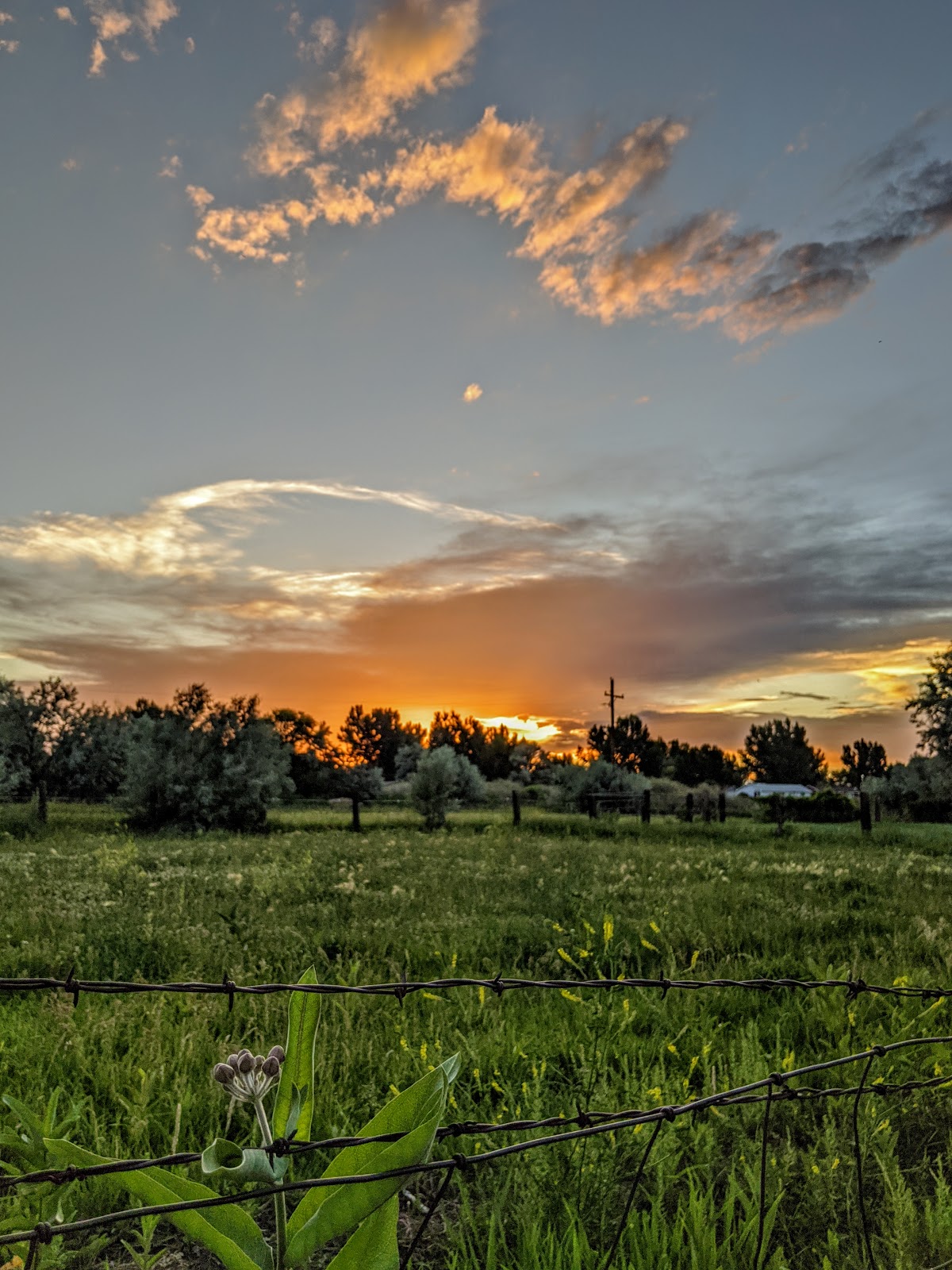 Worland Cowboy Campground