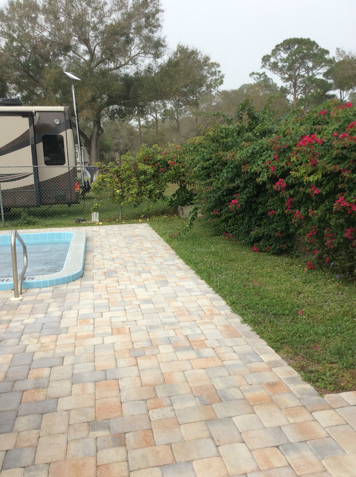 Sunnier Palms Member's Lodge