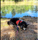 Cherokee Lakes RV Park