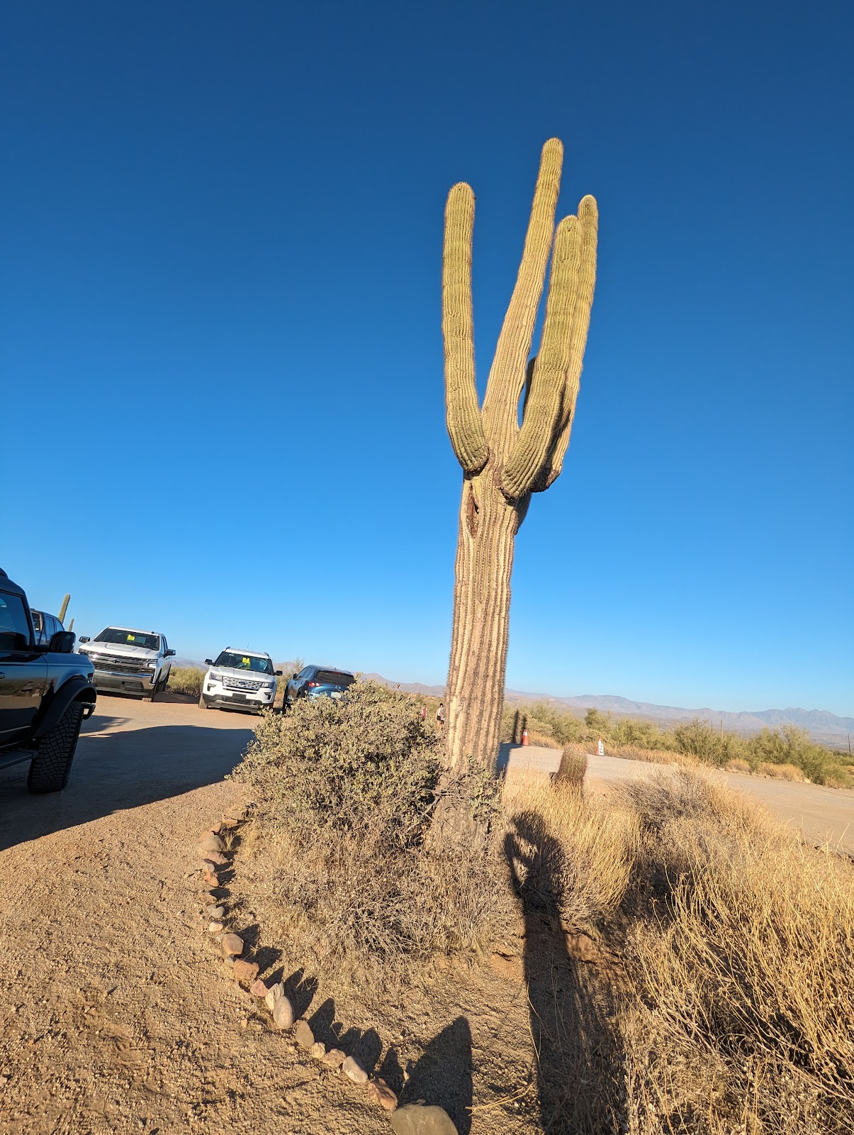 McDowell Mountain Regional Park