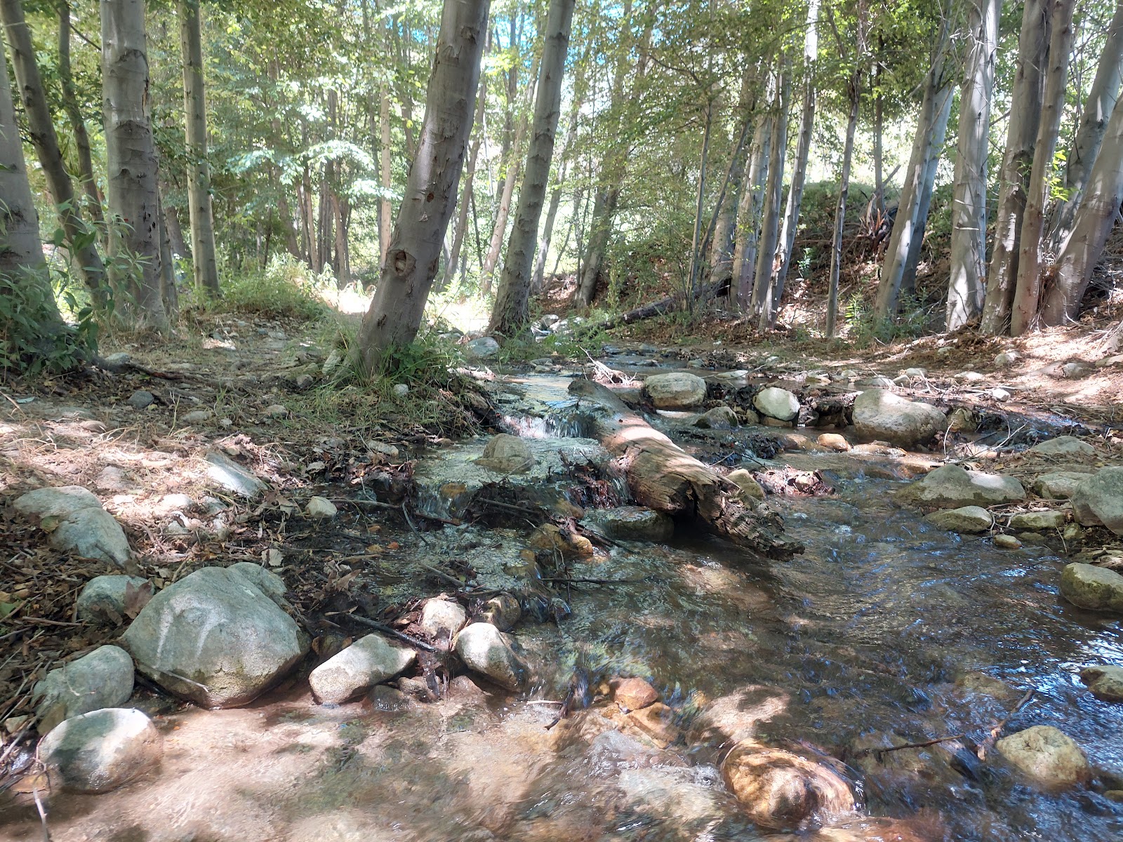 Coldbrook Campground