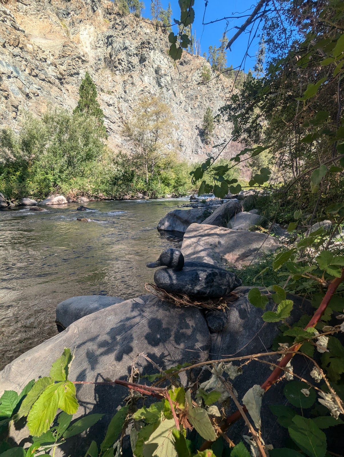 Queen Lily Campground