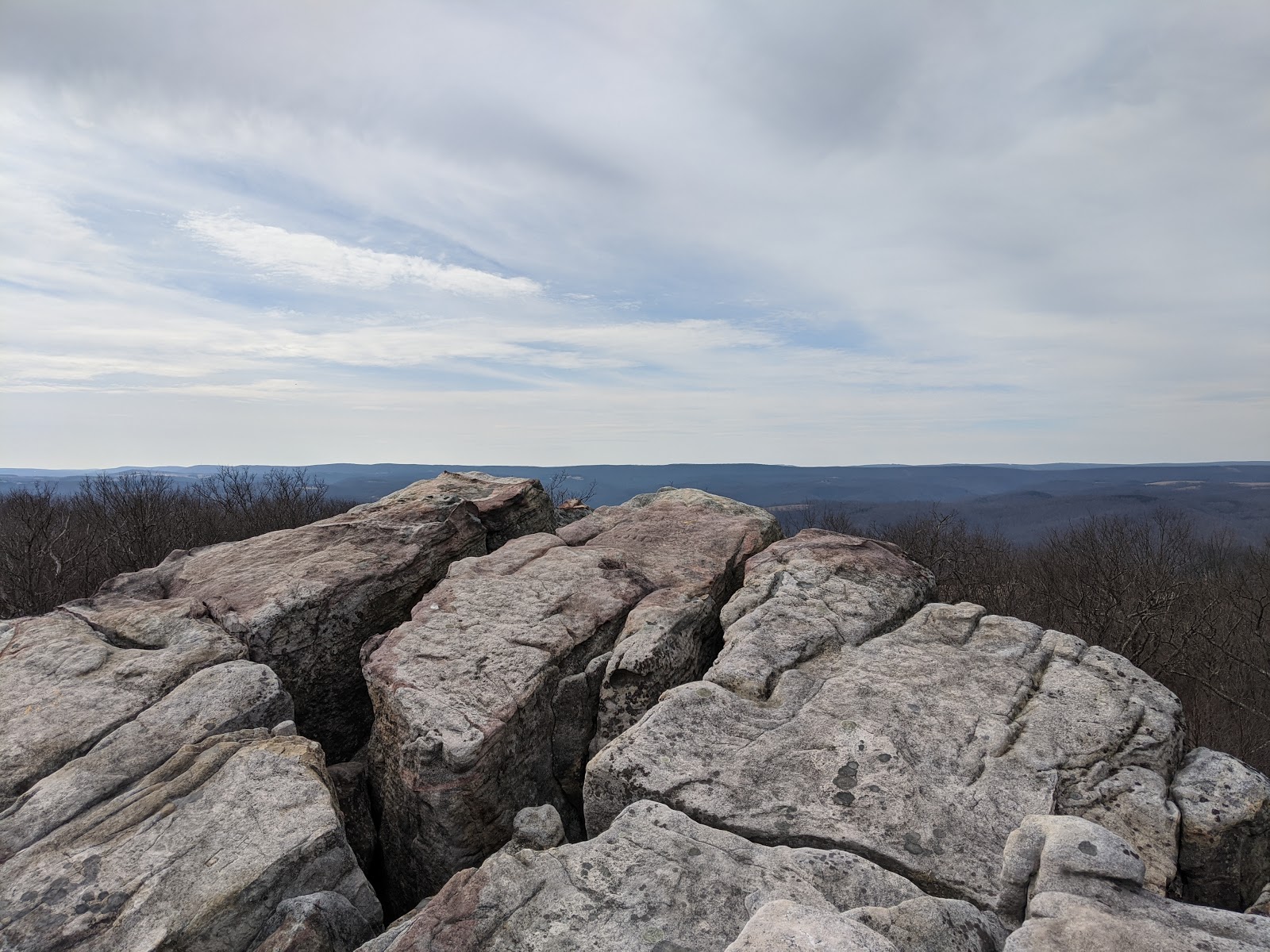 Savage River State Forest