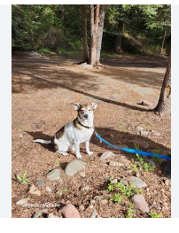 Priest Gulch Campground
