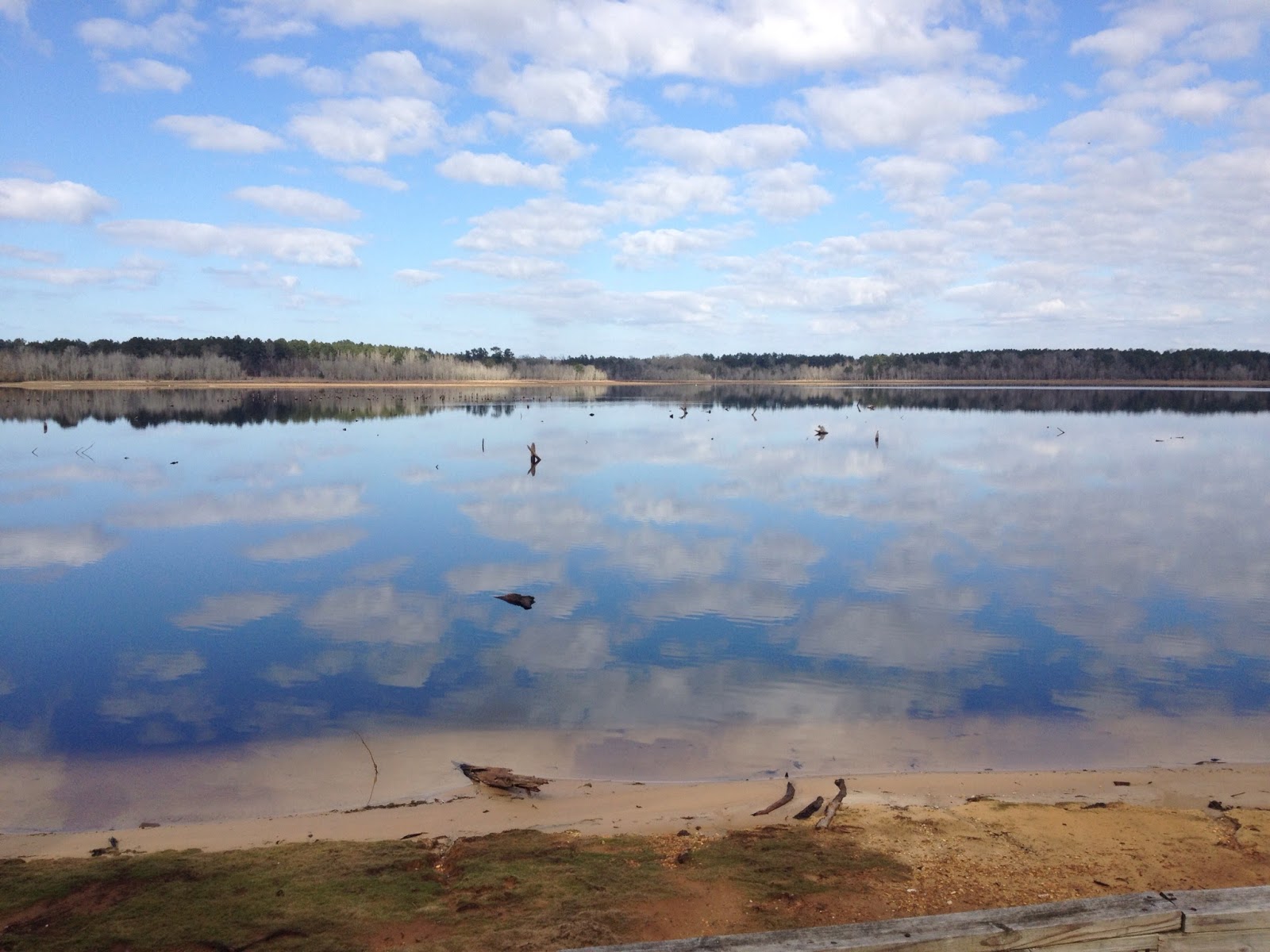 Little Black Creek Campground and Park