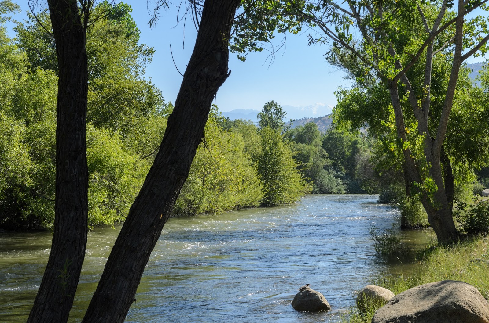 Sequoia Campground & Lodge