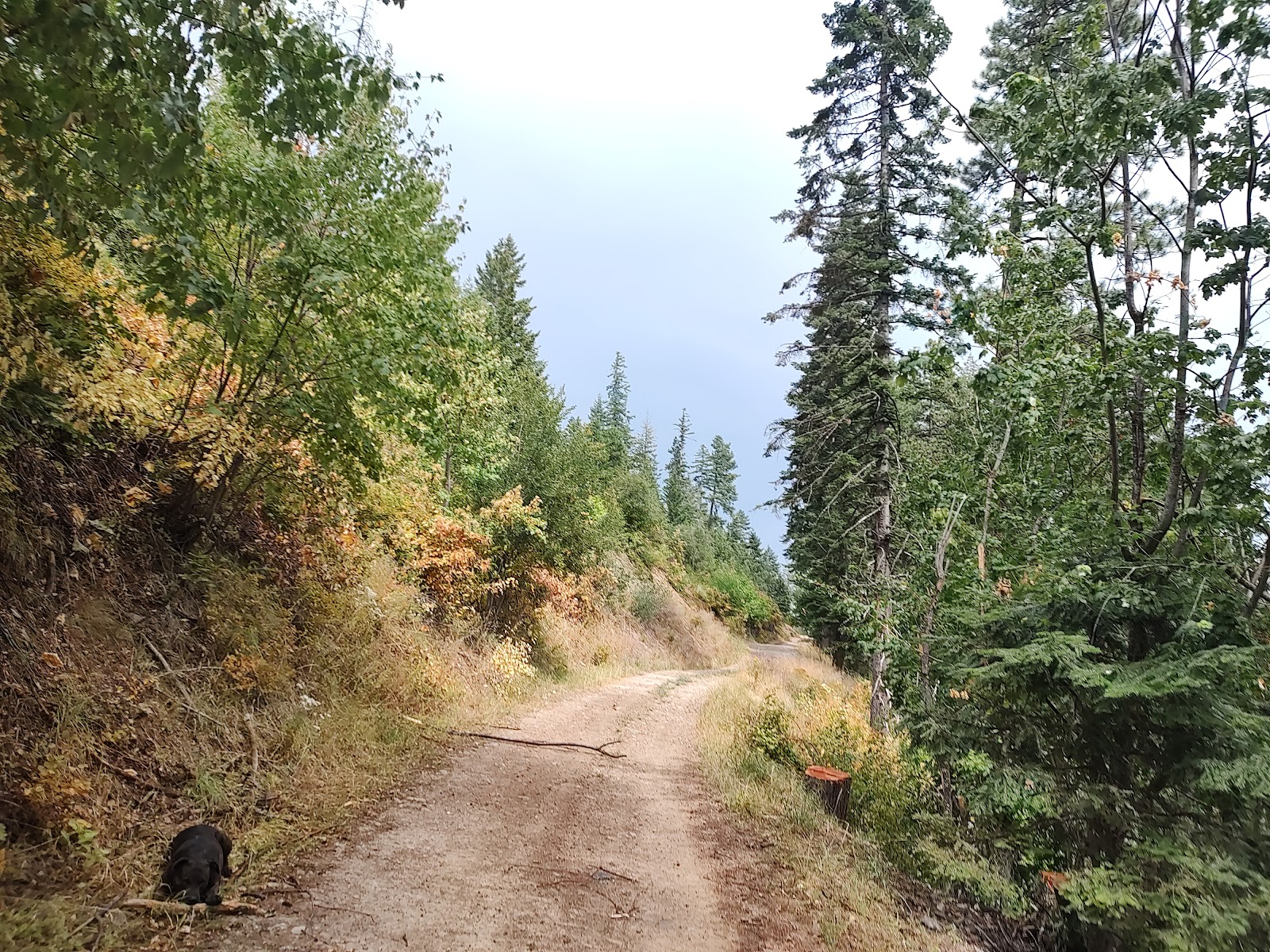 Bumblebee Campground