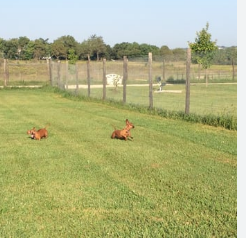 Squaw Creek Campground