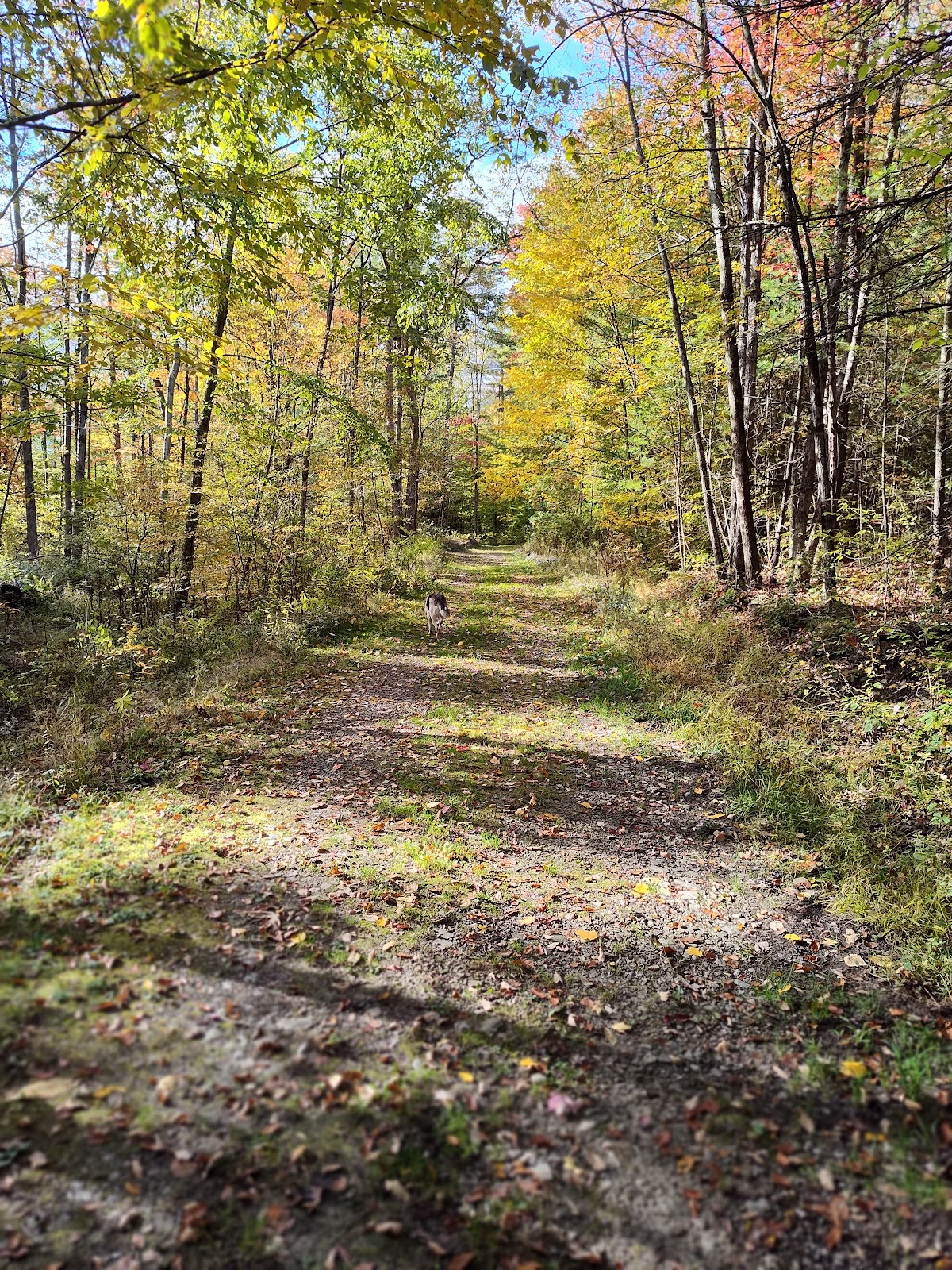 Hill Top Lake Campground