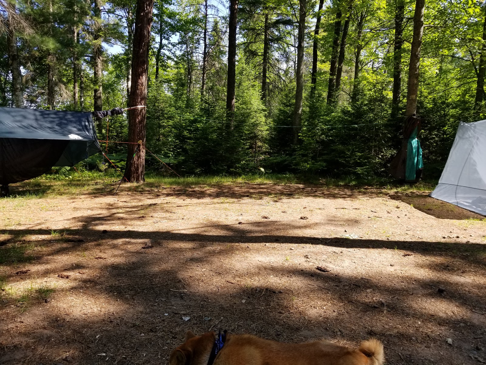 Sparrow Rapids NF Campground