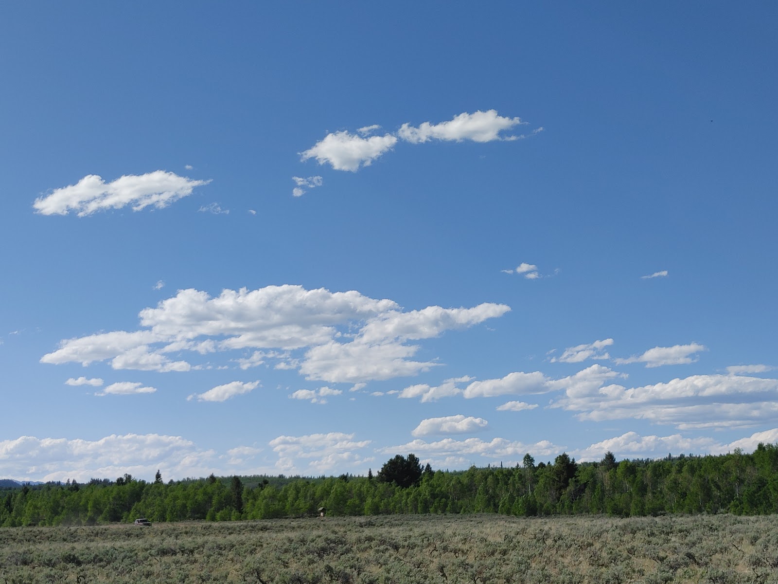 New Fork Lake Campground