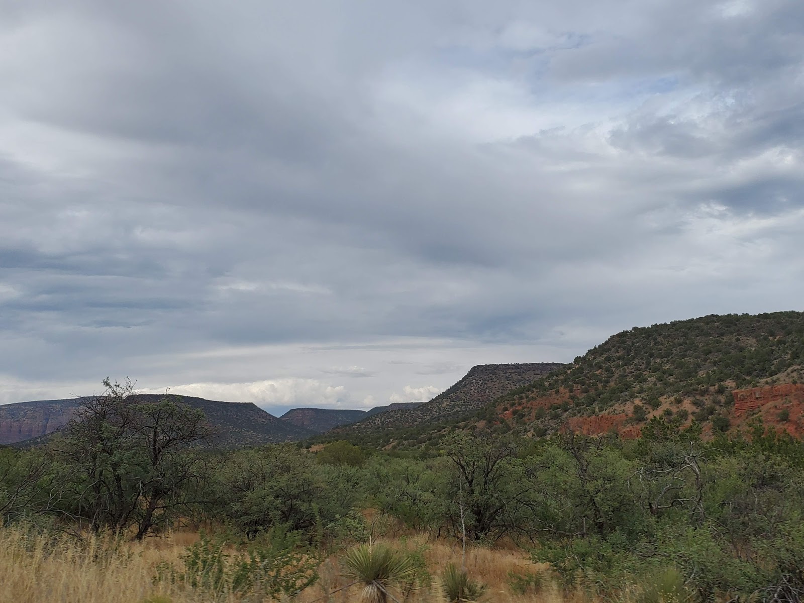 Coconino National Forest