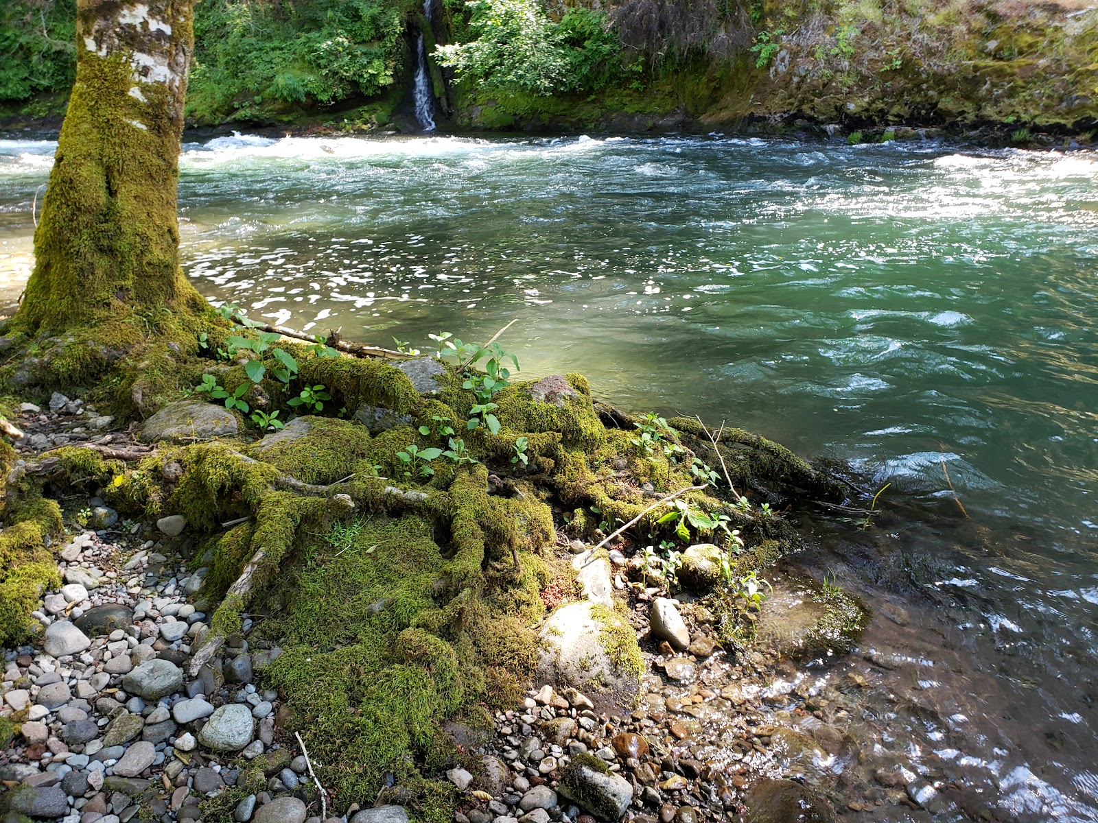 Whispering Falls Campground