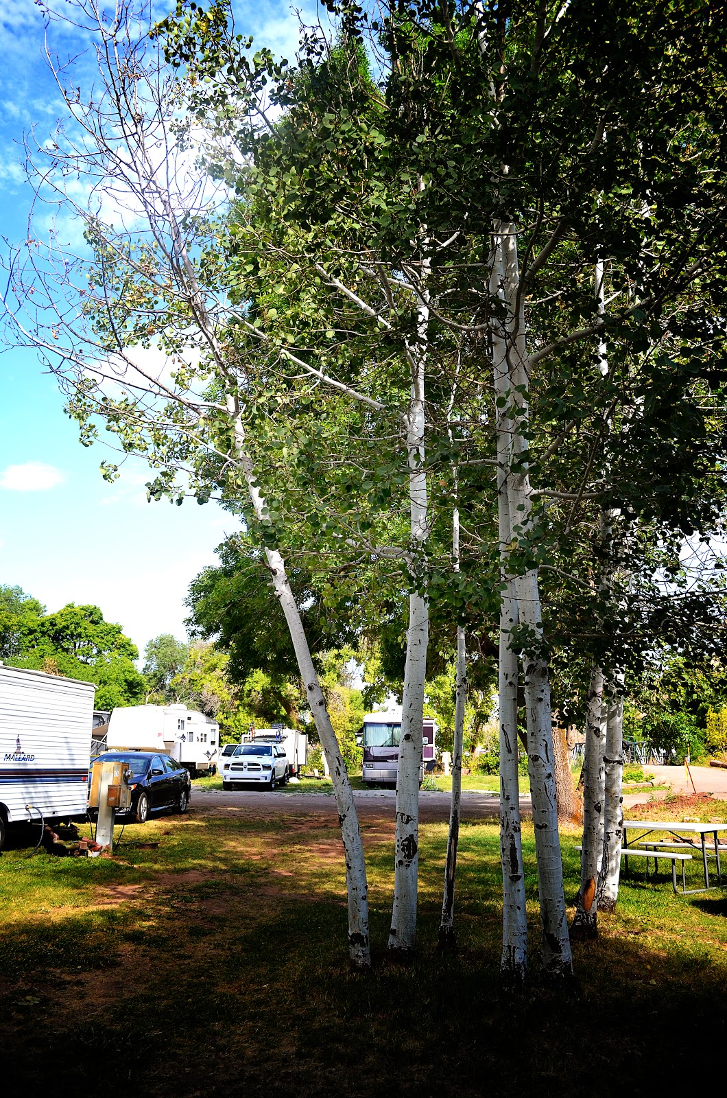 RiverBridge RV Park