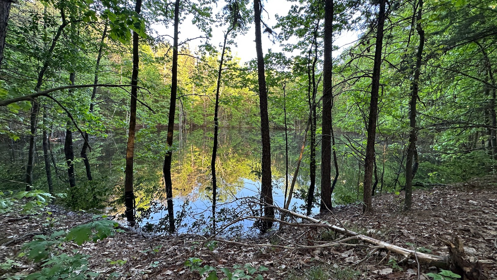 Ouita Coal Company Trail