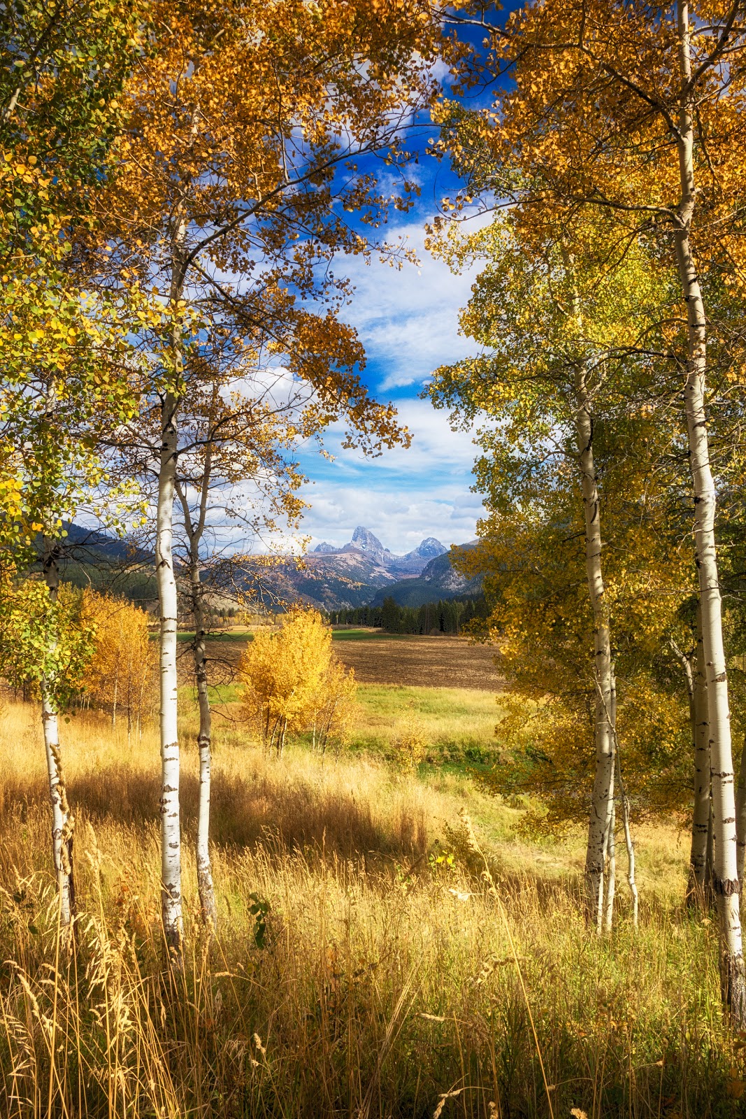 Teton Mountain View Lodge