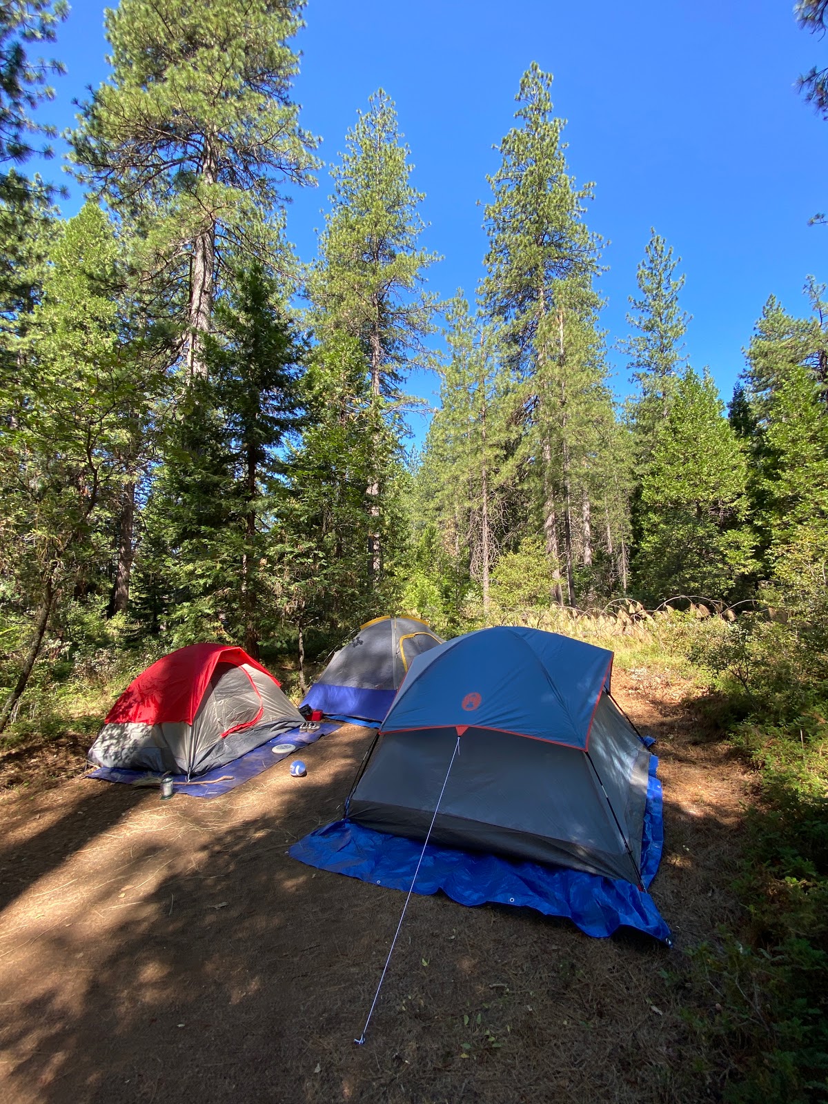 Woodchuck Campground