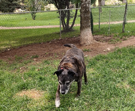 Country Corners RV Park And Campground