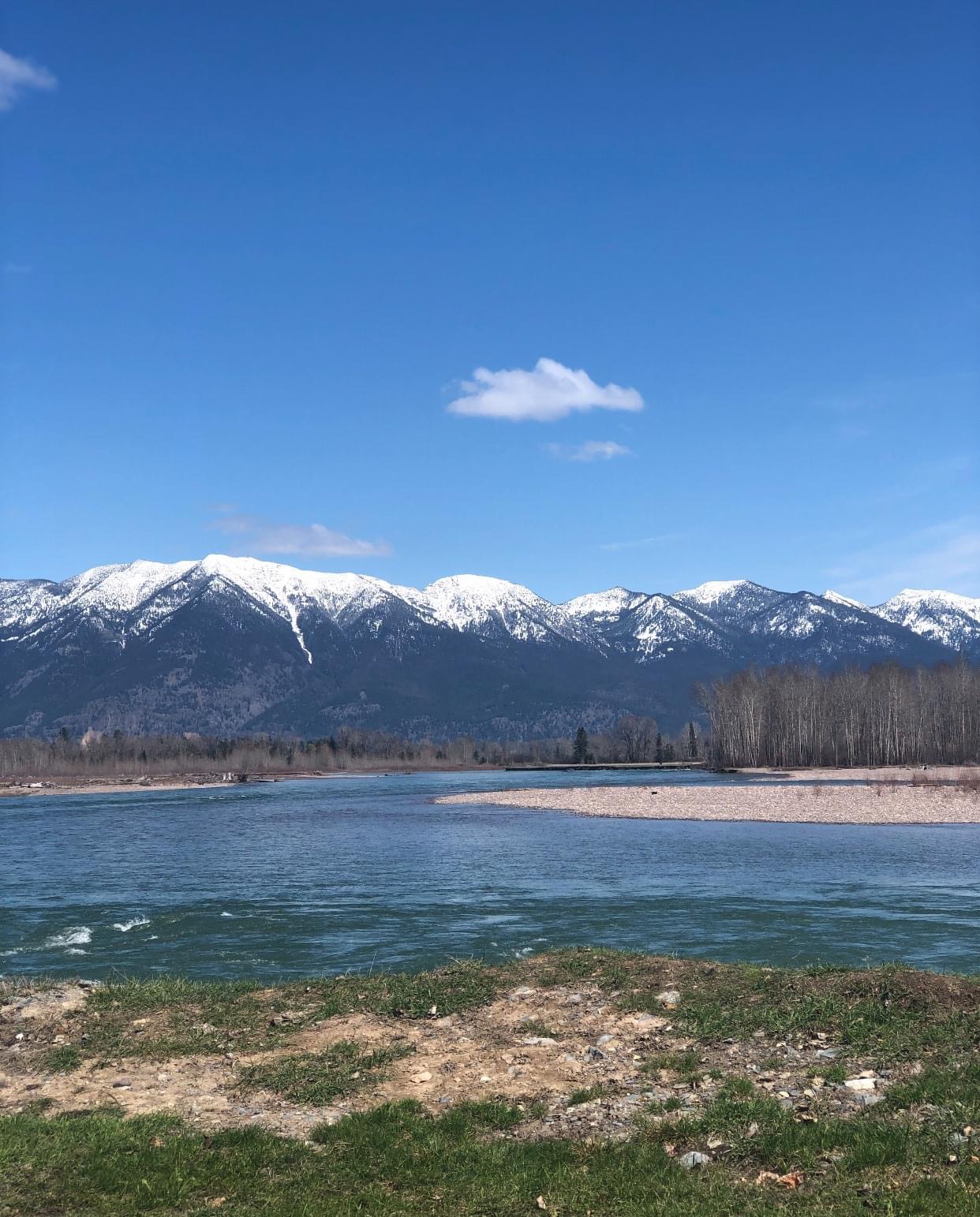 Spruce Park on the River