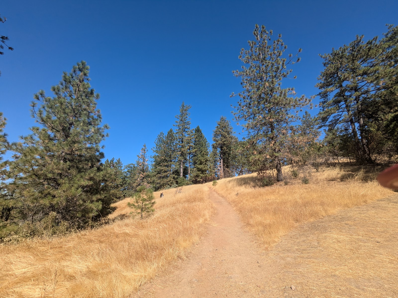 Henry W. Coe State Park