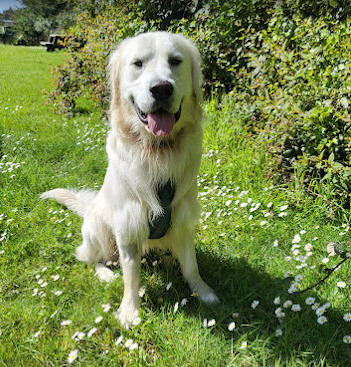 Pomo RV Park & Campground