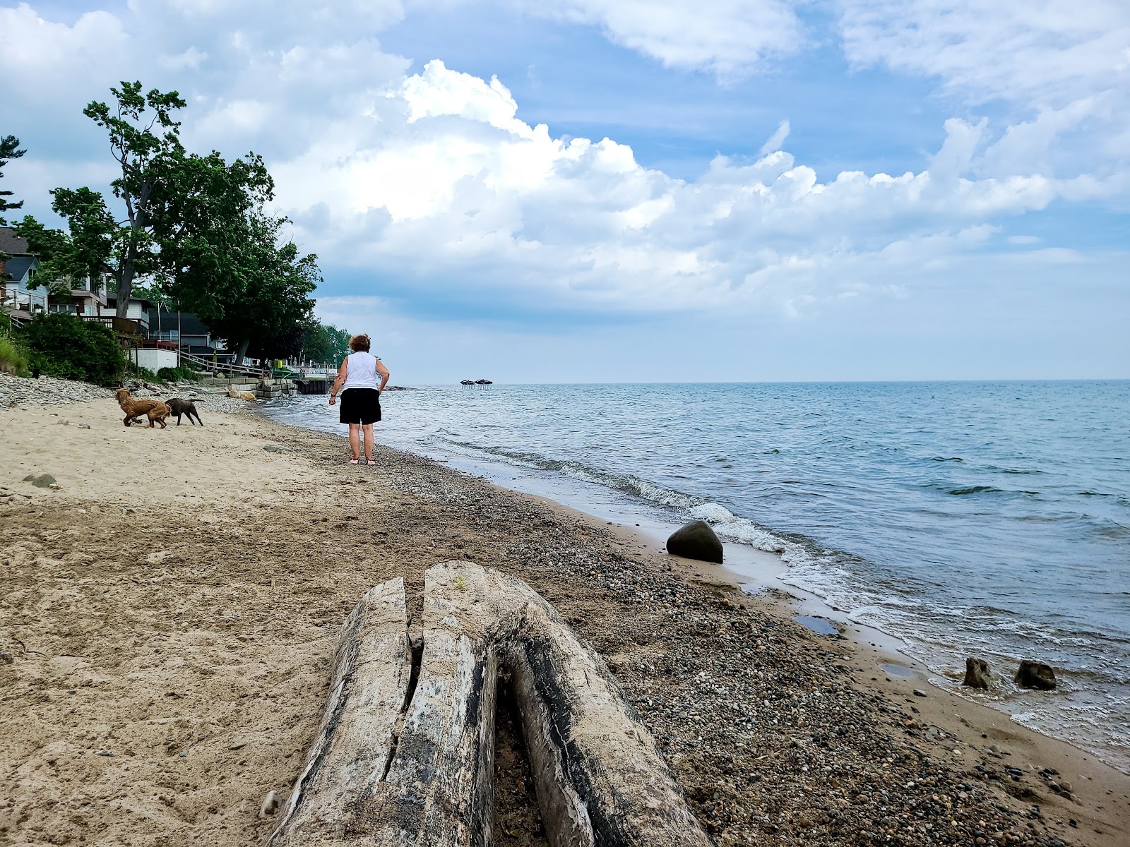 Forester Campground, LLC