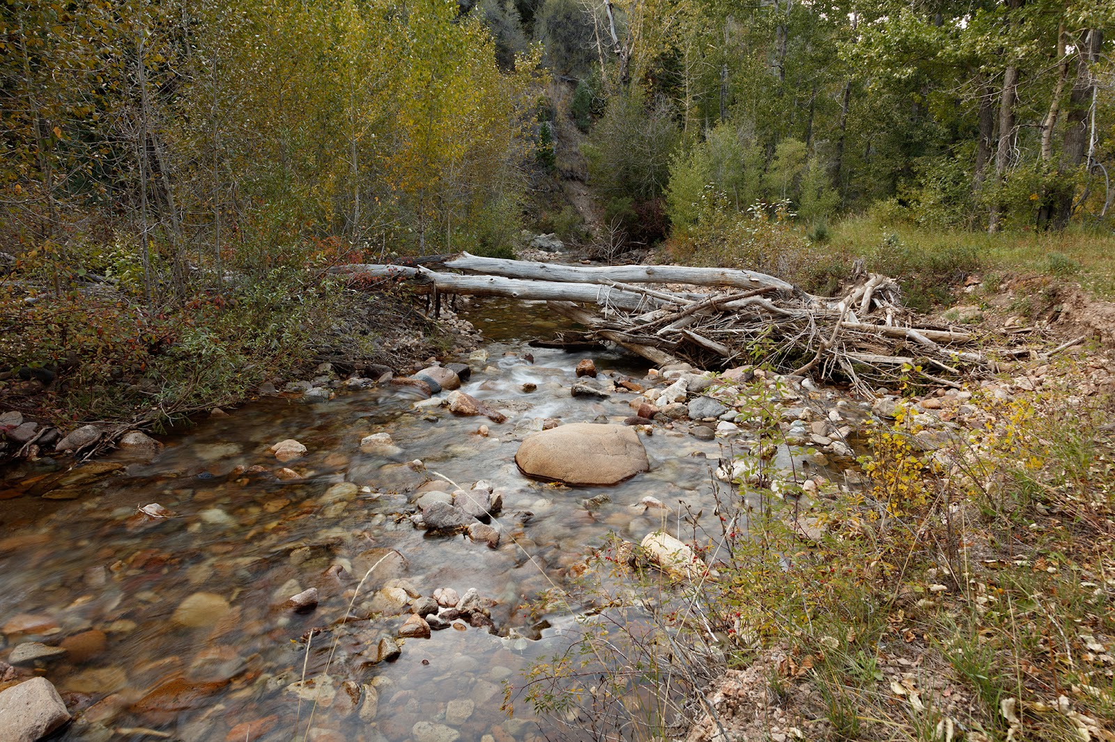 Pine Creek Campground