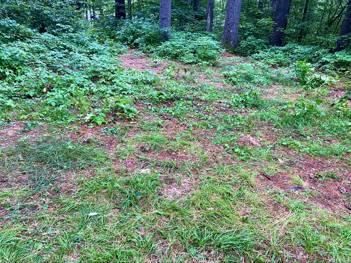 Schroon River Campsites