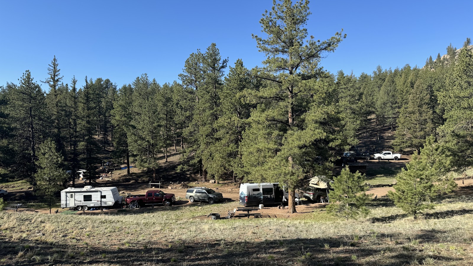Springer Gulch Campground