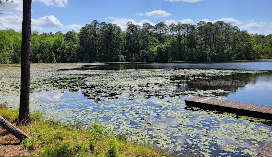 Jack Hill State Park
