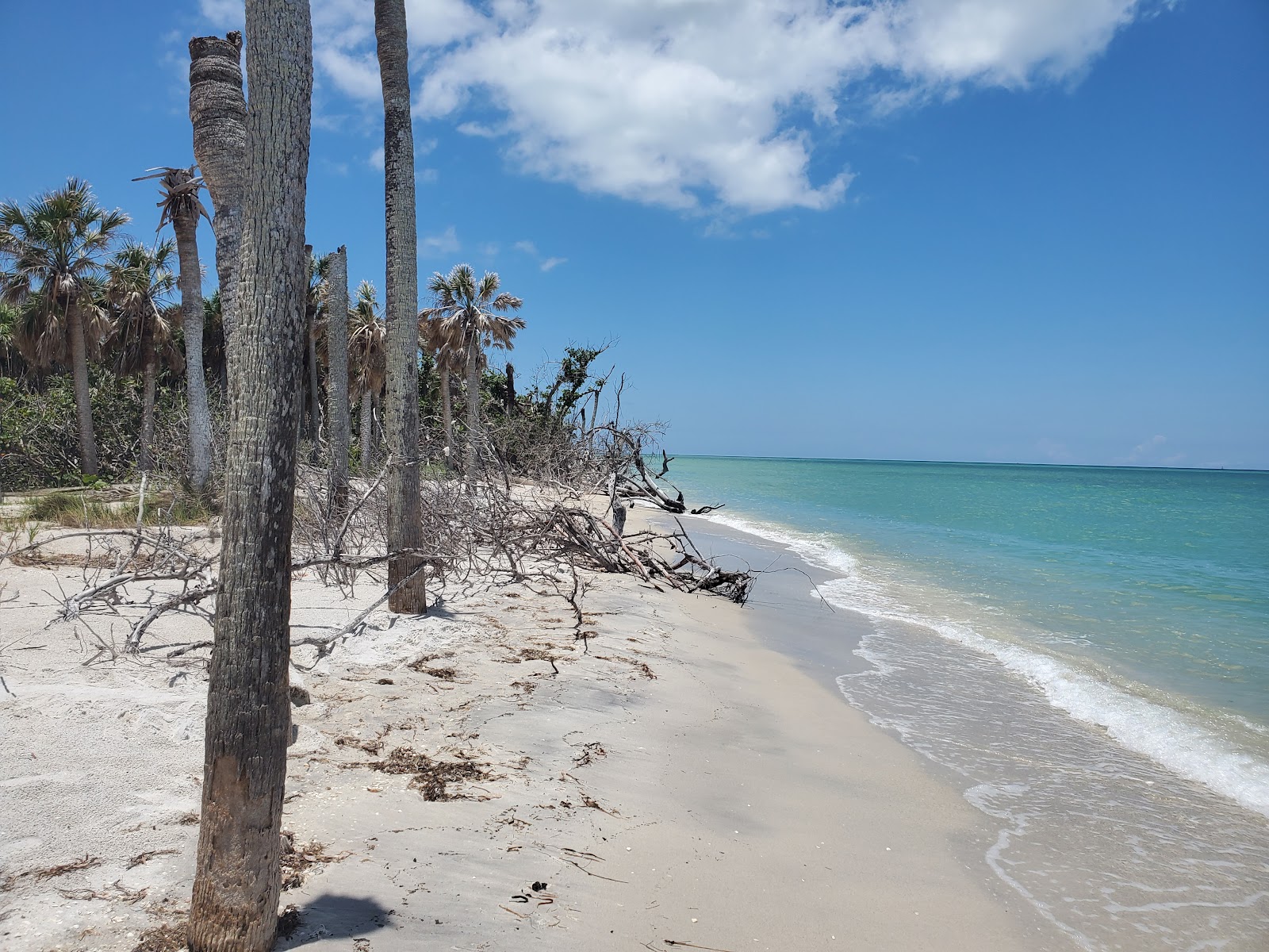 Cayo Costa State Park