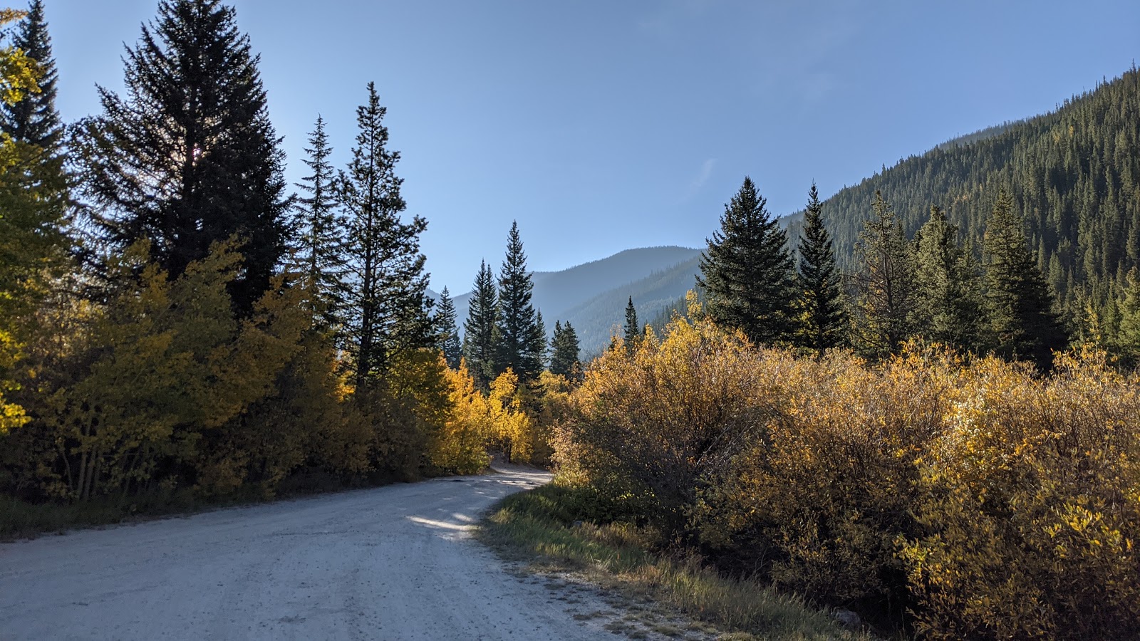 Collegiate Peaks Campground