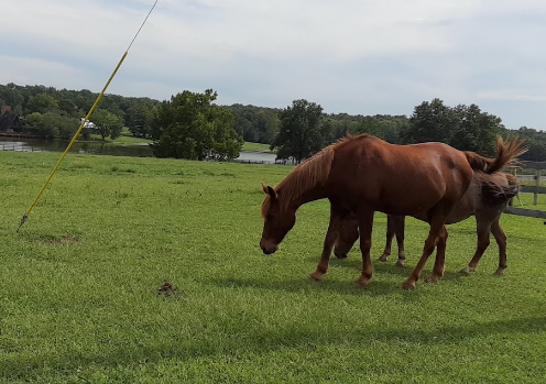 Cedar Creek Resort & RV Park