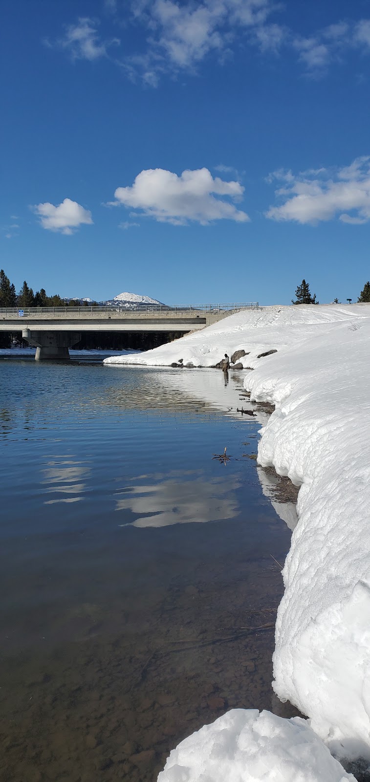 McCrea Bridge Campground