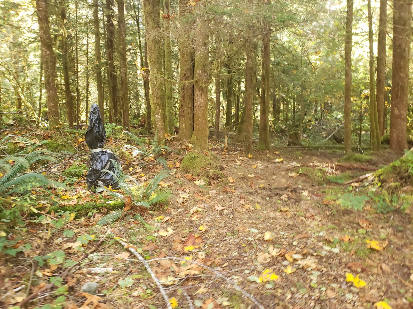 Miller River Campground