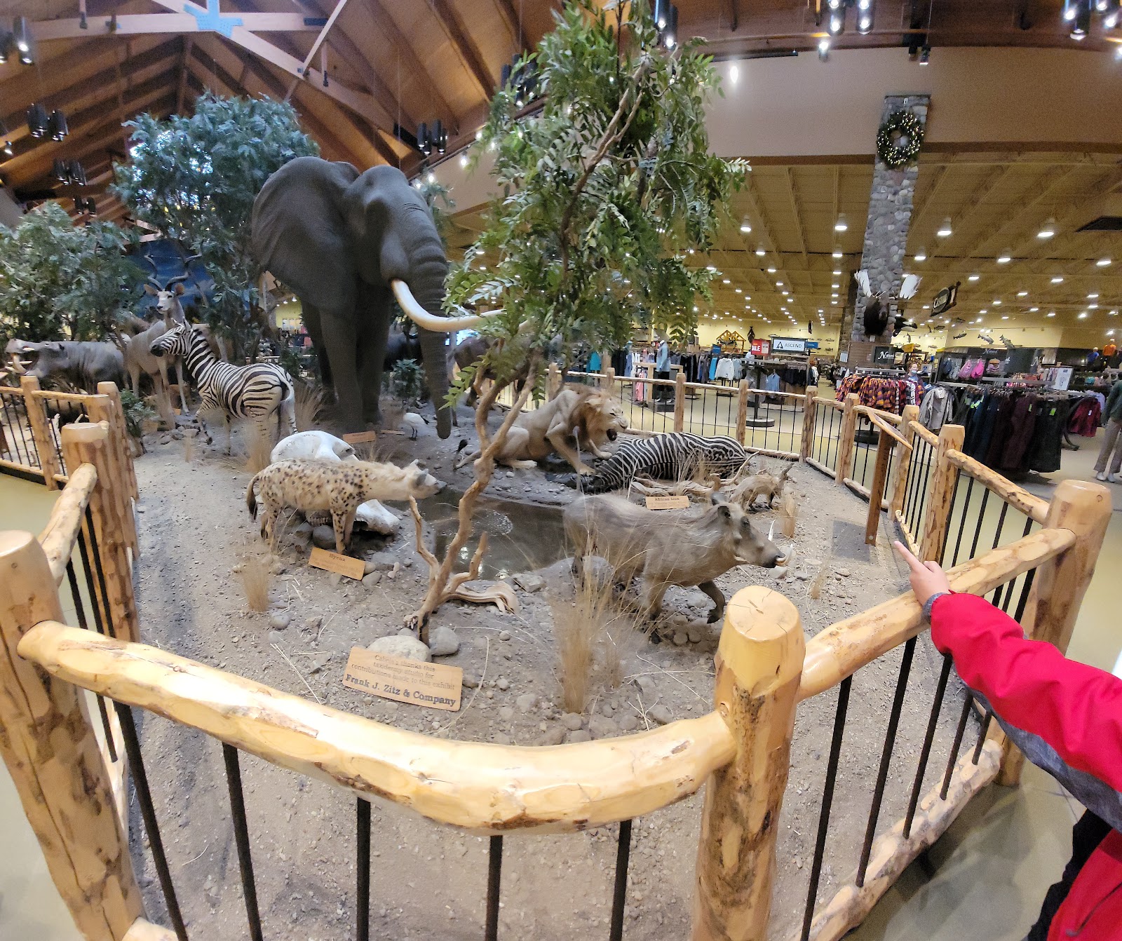 Cabela's