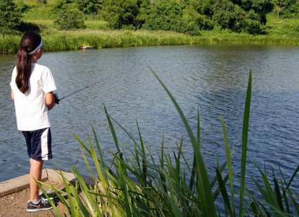 Sky Meadows State Park