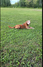 Fishermans Point Campground