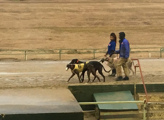 Southland Casino Racing