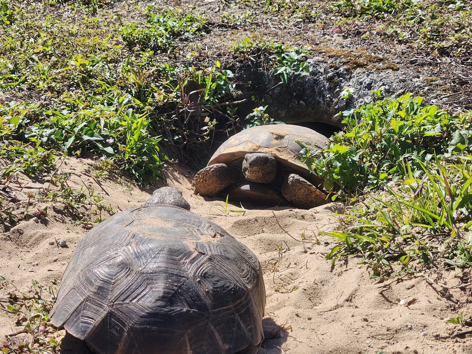 Orlando Campground / Outdoor World