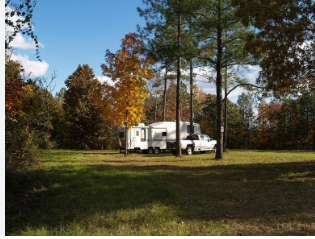 Ocmulgee WMA Camping
