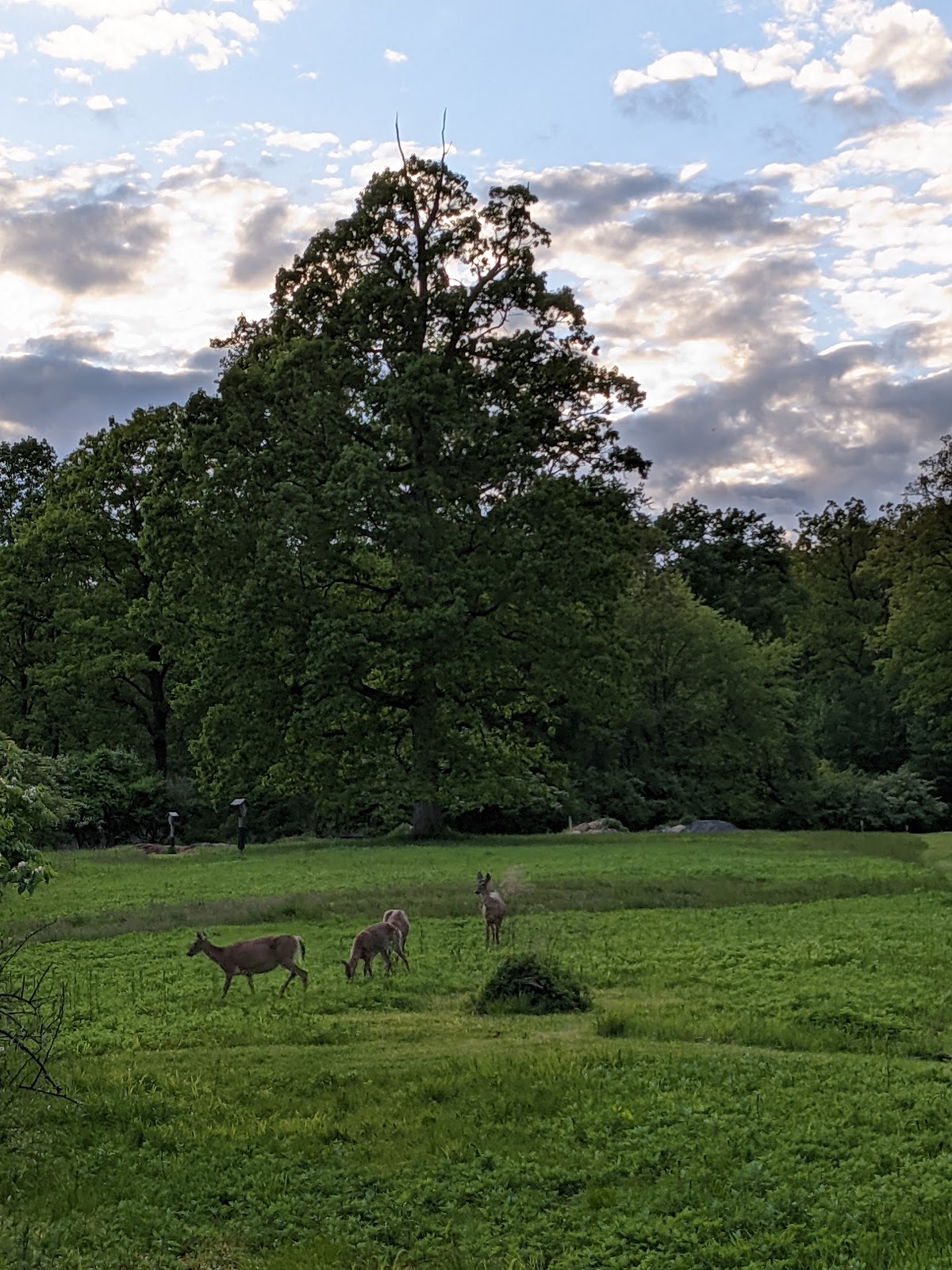 Fort Washington State Park