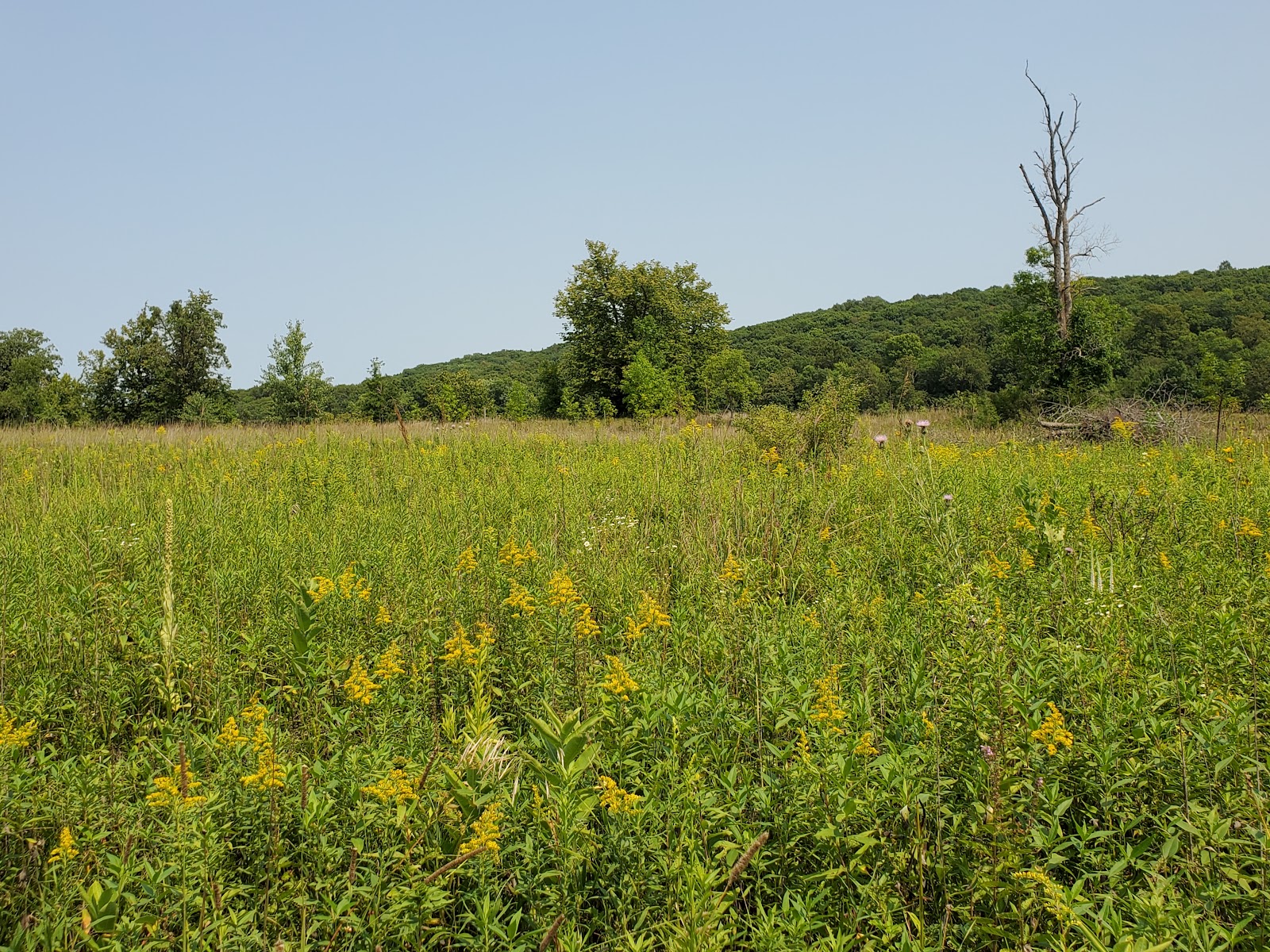 Wild River State Park