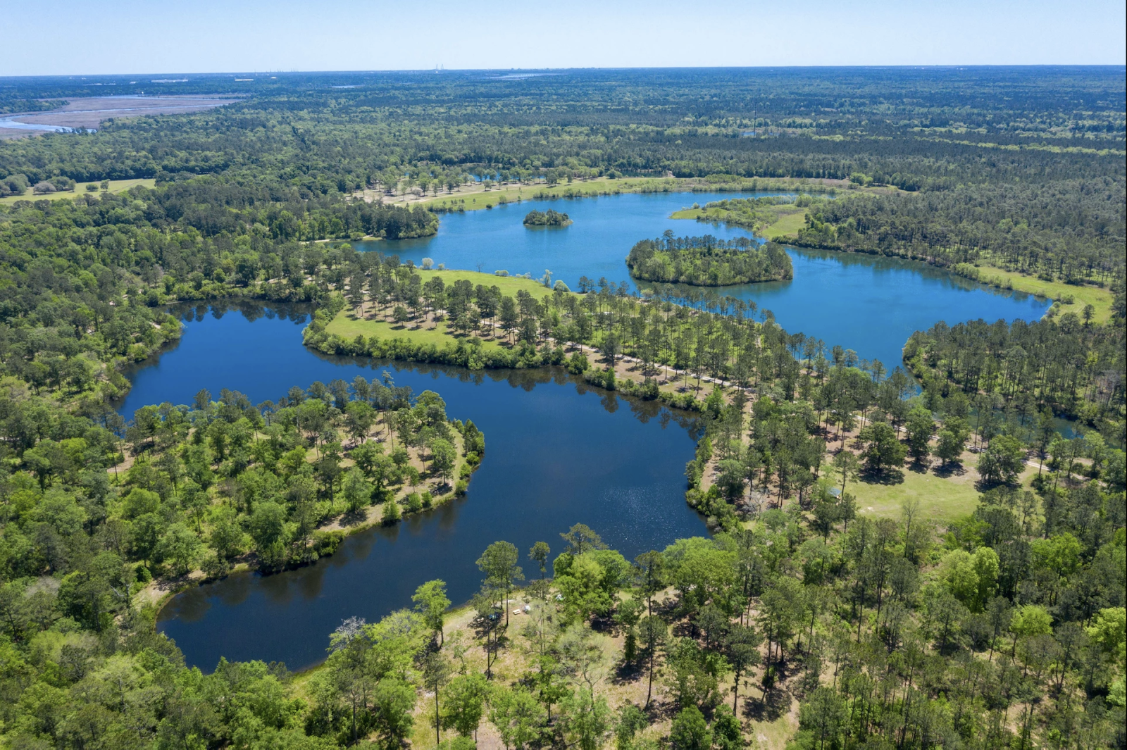 Charleston Woodlands