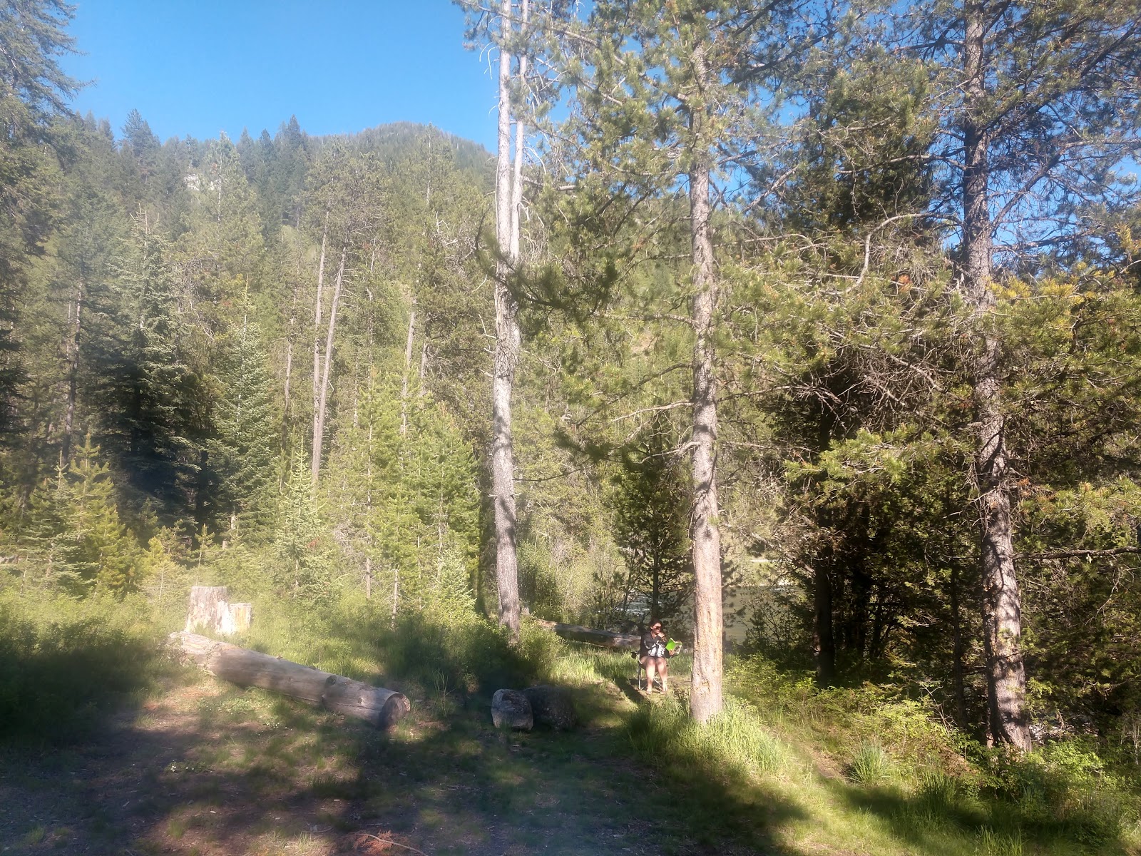 Williamson Campground