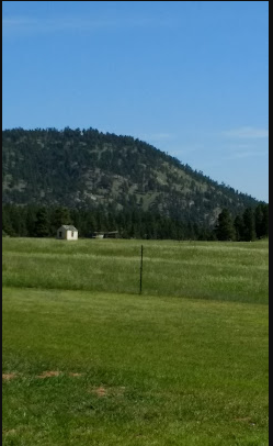 Bearlodge Mountain Resort