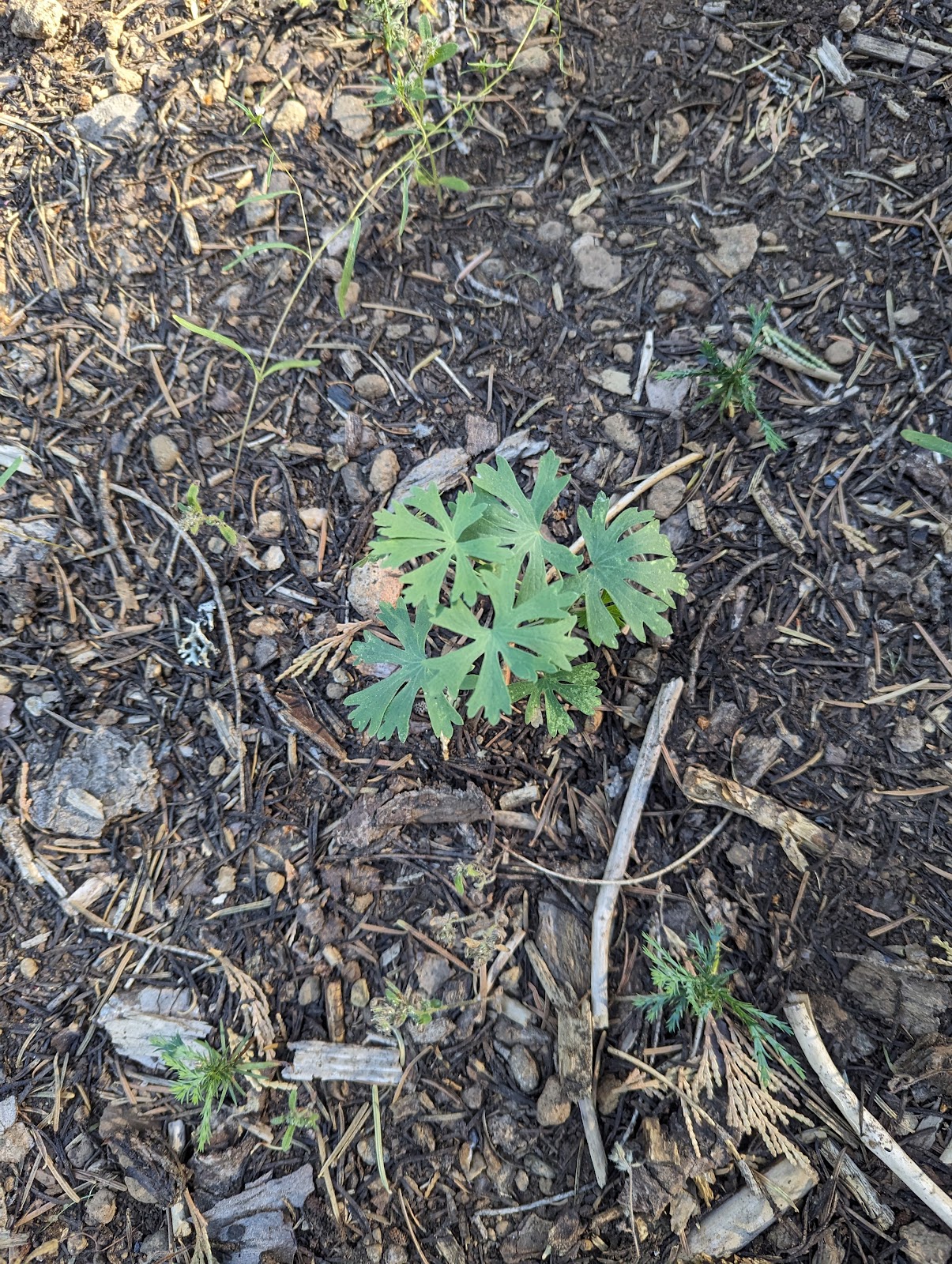 Little Beaver Campground
