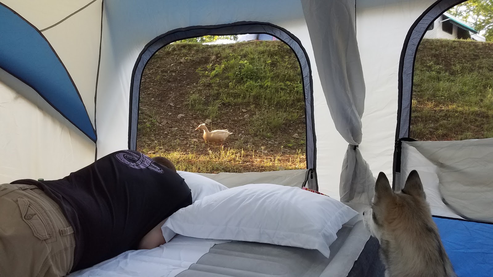 Hot Springs National Park KOA